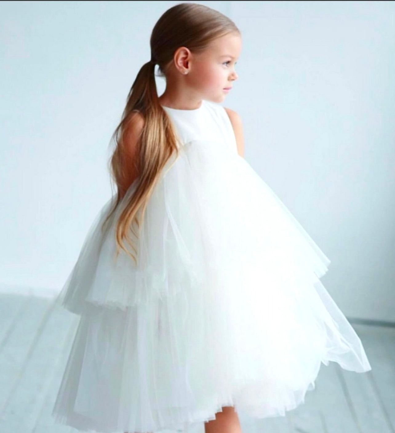 Annie & charles premium tulle dress